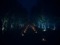 Chemin-de-bougies-a-travers-les-arbres-1