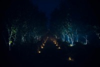 1_Chemin-de-bougies-a-travers-les-arbres-1