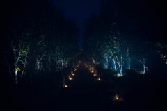 1_Chemin-de-bougies-a-travers-les-arbres-1